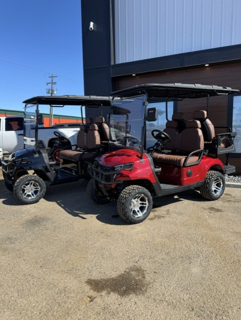 2025 NEW ELECTRIC GOLF CARTS