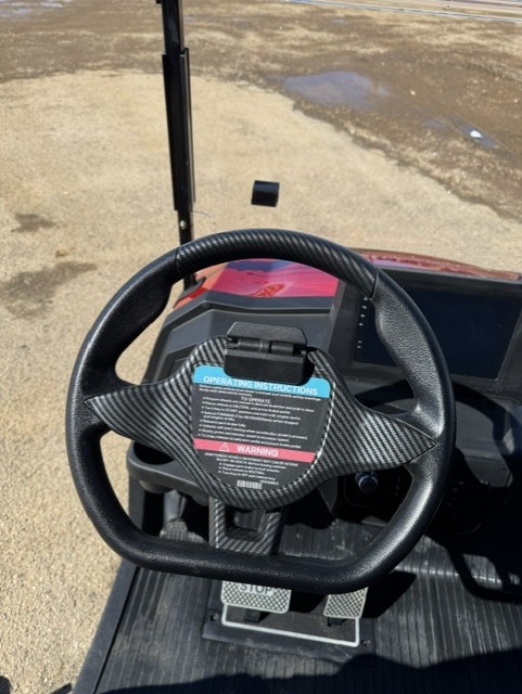 2025 NEW ELECTRIC GOLF CARTS