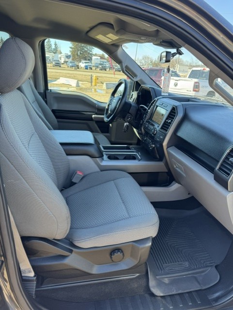 2019 FORD F150 XLT