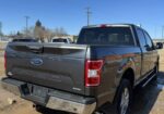 2019 FORD F150 XLT