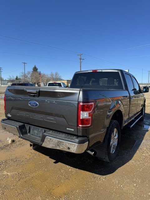 2019 FORD F150 XLT