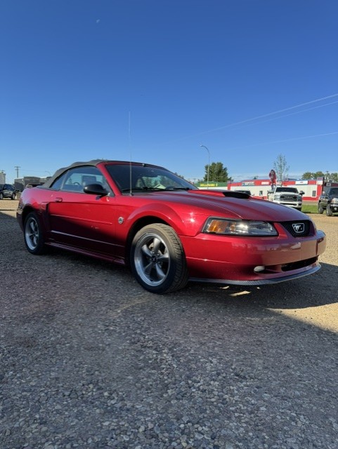 (CONSIGNMENT) 2004 FORD MUSTANG GT