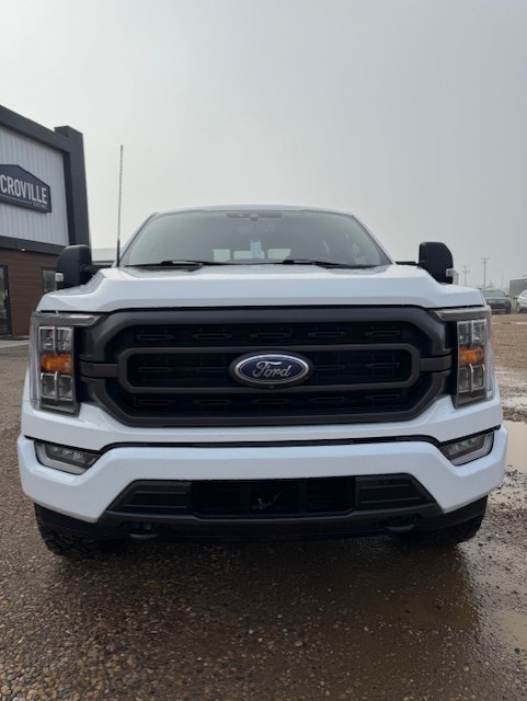2022 Ford F150 XLT